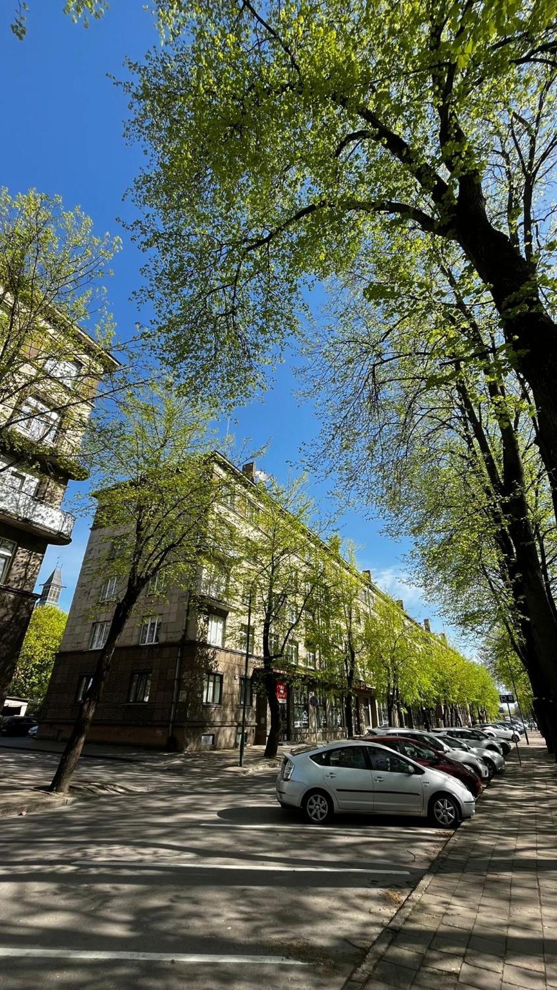Heritage House Dane Apartment Klaipėda Extérieur photo